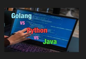 Python vs Go: Language Differences, Advantages, and Uses